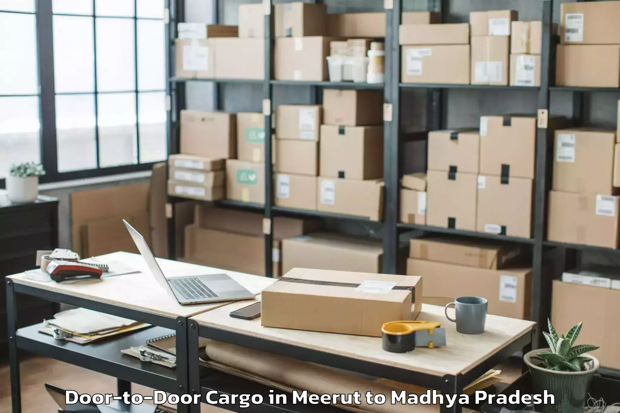 Professional Meerut to Badod Door To Door Cargo